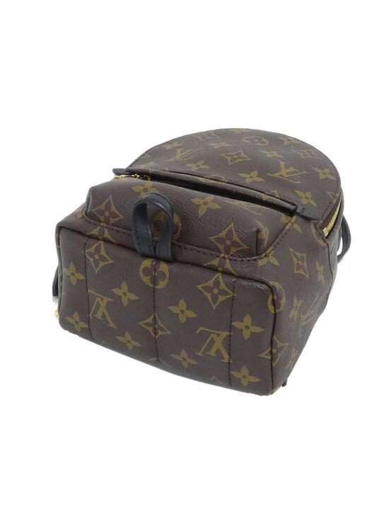 Louis Vuitton Monogram Palm Spring Backpack Mini Sac